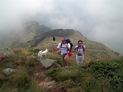 PIZZO FARNO (2506 m.) con giro ad anello per insolita salita dalle Baite di Mezzeno per il Passo di Marogella e Cima di Mezzeno - FOTOGALLERY